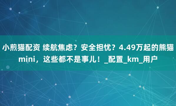 小煎猫配资 续航焦虑？安全担忧？4.49万起的熊猫mini，这些都不是事儿！_配置_km_用户