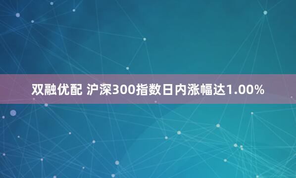 双融优配 沪深300指数日内涨幅达1.00%